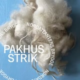 DOGMESTRIK - workshop på Pakhusstrik 2026