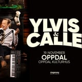 Ylvis