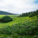 Almyrkvablót