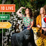 CHAT 10 LOOKS 3: LIVE 2026 | Enmore Theatre, Sydney