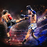 Destiny Fights 10