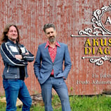 Akustisk Diagnose / KulturBanken Vocus