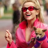 Legally Blonde - Föstudagspartísýning!