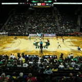 Oregon Ducks Volleyball vs. LIU Brooklyn Volleyball