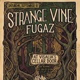 Sound N Vision presents Strange Vine + Fugaz