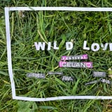 WILD LOVE festival Iceland 2026
