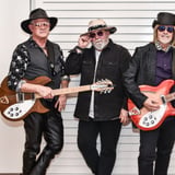 Petty Rewind: A Tom Petty Tribute Band