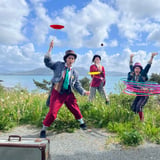 Flying Seagulls