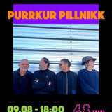 Purrkur Pillnikk - Heimsyfirráð eða dauði 40 ár