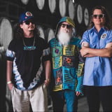 The Iceman Special with Blue Widow