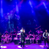 Best of the Bee Gees Saturday Night Fever