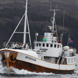 Morgunsigling með Húna II