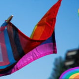 Drag-Bingo, Dalane Pride