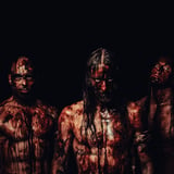 Strychnos + Support: Gam