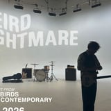 Weird Nightmare