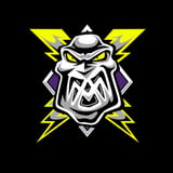 Manchester Storm vs Coventry Blaze