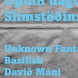 Opinn dagur í Slímstöðinni