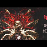 Signs of the Swarm @ Club Forum Trier
