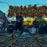 MUDDY ROOTS with special guests