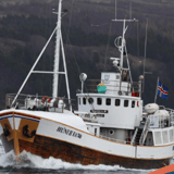 Morgunsigling með Húna II