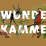 Wunderkammer: A Taxidermy Showcase and Competition