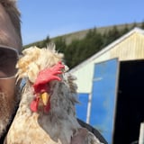 Sunnudagsleiðsögn með Jóni Gnarr | Smáborg, háborg - Reykjavík í mynd