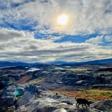 Almyrkvi - Hryðjuverk í vinnslu