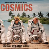 The Cosmics