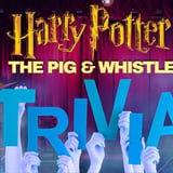 Harry Potter TRIVIA @ The Pig & Whistle (Free to register) 