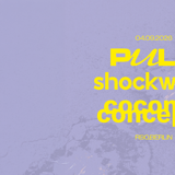 PULS x shockwerk x coconut concepts pres. LAST SUMMER NIGHT