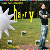 Harry Hayes