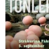 Skollamjólk - Strákurinn Fákurinn