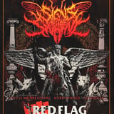 SIGNS OF THE SWARM at red flag