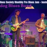 Moondog Blues Band hosts the SEPTEMBER Pro Blues Jam