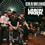 Crawling (A Tribute To Early Linkin Park) &  Nirvanna (Tribute To Nirvana)