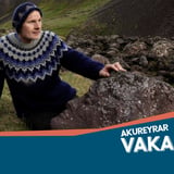 Rökkursöngur steinanna