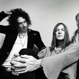 The Dandy Warhols Australia / NZ Tour 2026