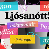 ALLT AÐ GERAST Á PARK INN BY RADISSON Á LJÓSANÓTT! 