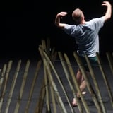Within Practice - Manuel Rodríguez + Thomas Hauert - ZOO