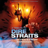 A Tribute to Dire Straits - Echoes from Zaragoza // Nøtterøy Kulturhus