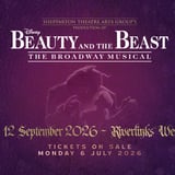 Disney Beauty and The Beast