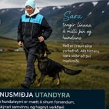 Námskeið og einkatímar