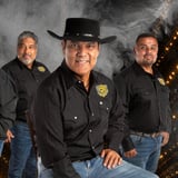 Los Palominos