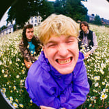 The Love Buzz
