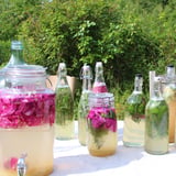 Vild fermentering