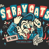 THE STRAY CATS