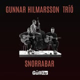 Tríó Gunnars Hilmarssonar á Snorrabar