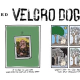 Utstilling på Ramp: Velcro Dog