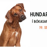 Hundar sem hlusta í Bókasafni Mosfellsbæjar