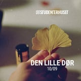 Den Lille Dør // Studenterhuset, Aalborg